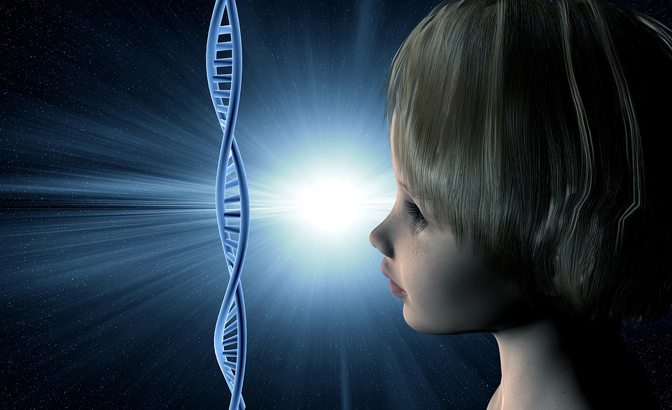 Eva mitocondrială si Teoria endosimbiotică a mitocondriilor