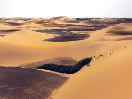 No man's land, sensul şi originea expresiei