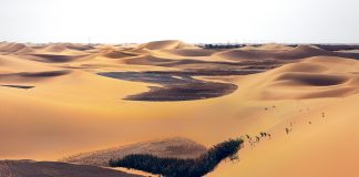 No man's land, sensul şi originea expresiei