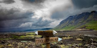 Oiconime. Câteva curiozităţi oiconimice