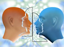 Teoria spiritului plat si inteligenta