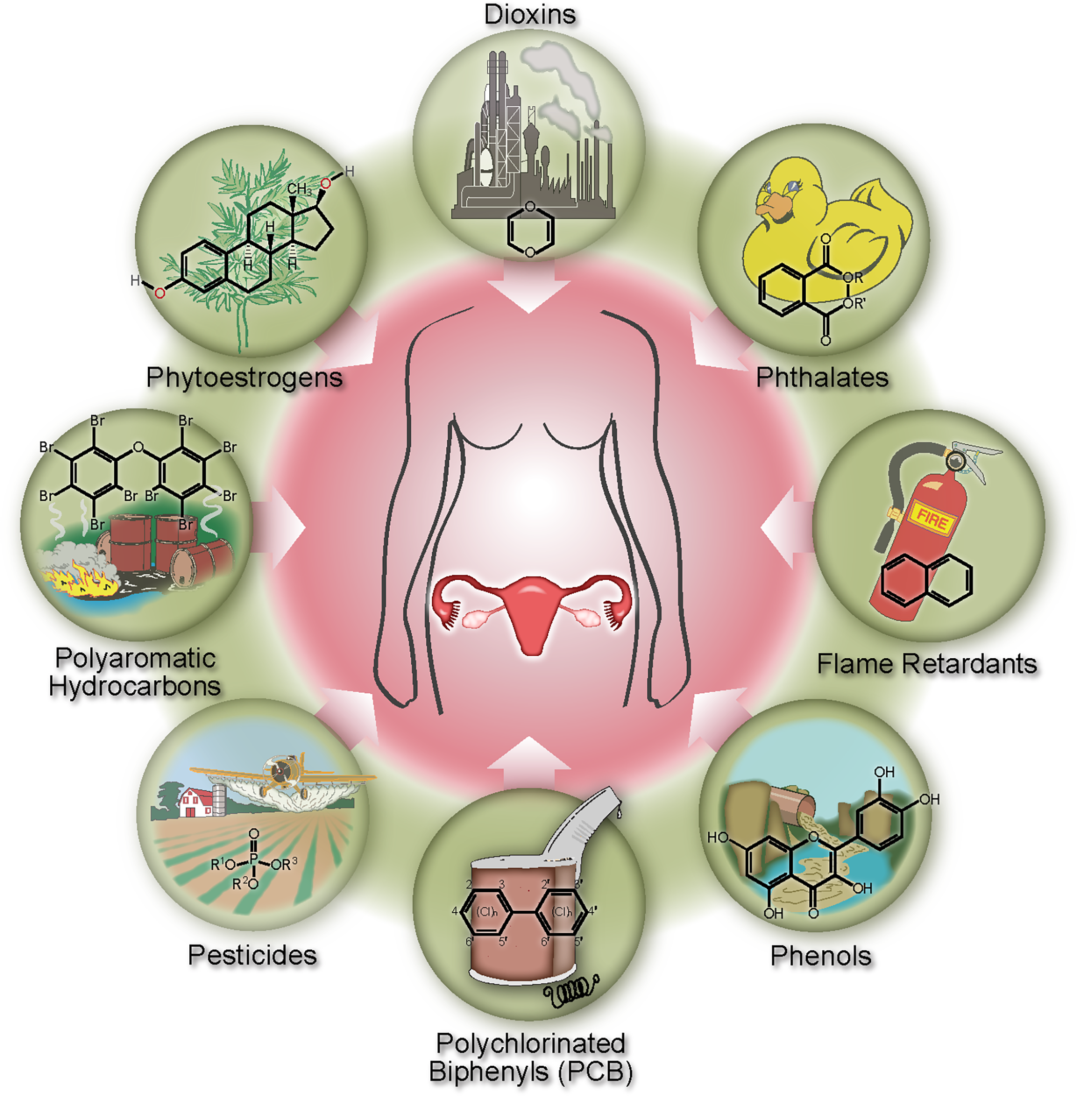 Bisfenol A si Bisfenol S, Perturbatori endocrini, Sursa: Extreme.tch