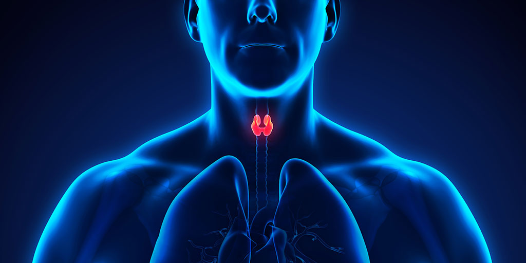 Perturbatori endocrini, Sursa: niehs.nih.gov