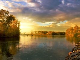 Dumitru Dimitrie – originea şi semnificaţia numelui