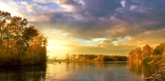 Dumitru Dimitrie – originea şi semnificaţia numelui