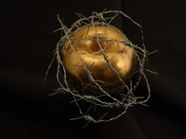 Experimentul Milgram, Imagine simbol pentru natura umana