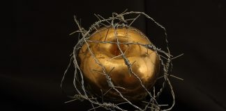 Experimentul Milgram, Imagine simbol pentru natura umana