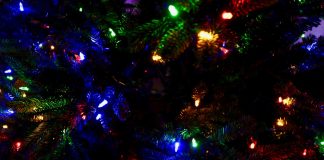 Cel mai scump brad de sărbători