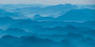 Culoarea anului 2020 în modă, design, decoraţiuni interioare şi în mediul virtual