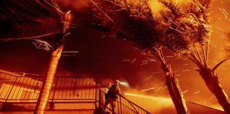 Cuvântul anului 2019, Oxford Dictionaires, Sursa: Euronews