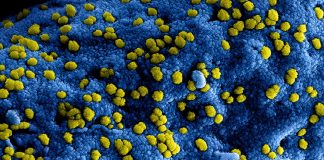 Coronavirus, cel mai periculos virus, se extinde în ţările asiatice şi în lume