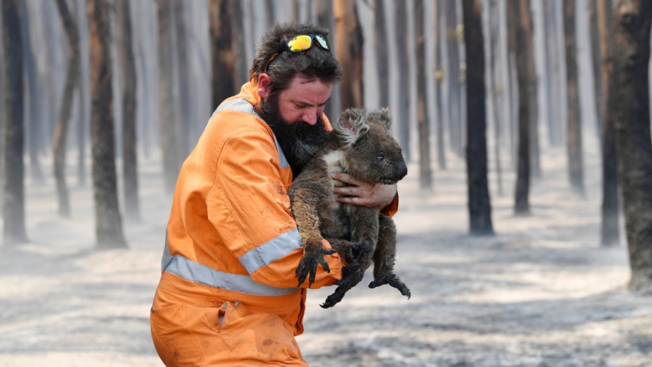 Incendiile din Australia si comportamentul uman, Sursa Public Radio Internatonal