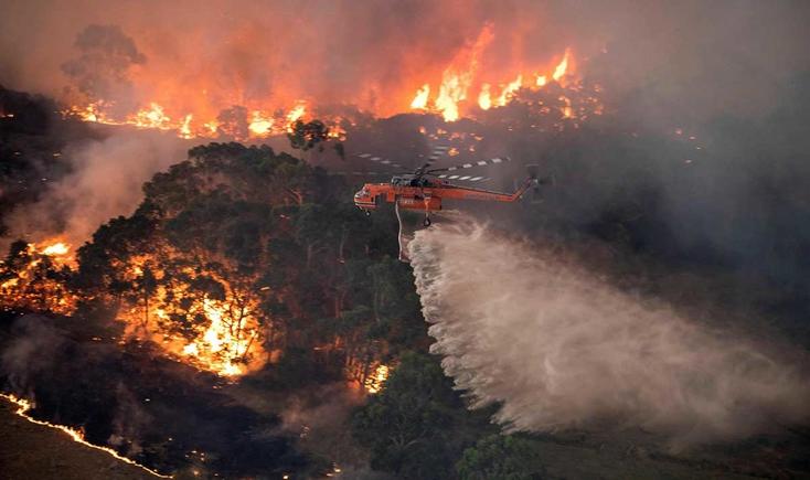 Incendiile din Australia