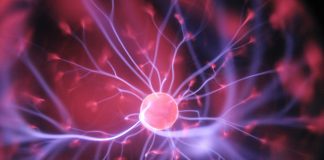 Genele educaţiei în declin