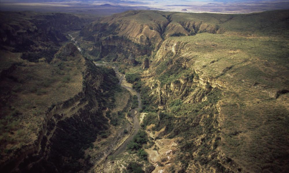 Valea Marelui Rift, Africa