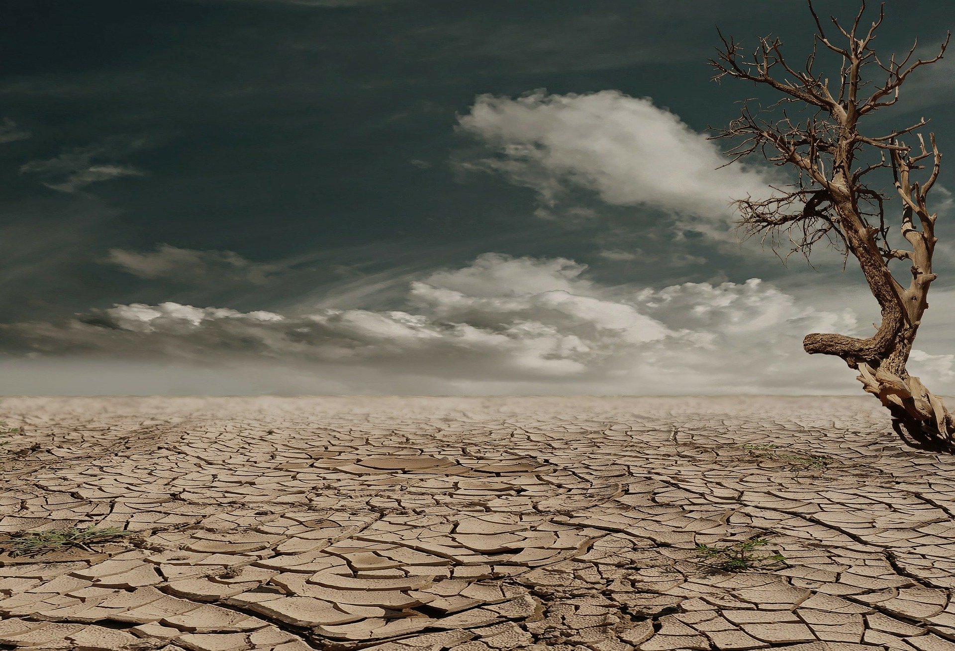 Ipoteza Gaia si desertizarea Europei