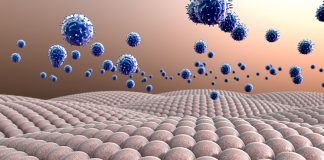 Furtuna imunologică şi pandemia de coronavirus (COVID-19)