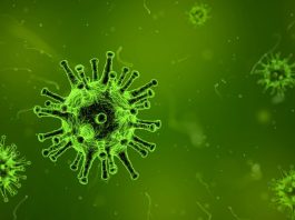 Virus virusuri viruşi – sensul şi originea cuvântului, pluralul corect. De la virus la “verin”, un câmp semantic inedit