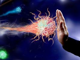 Sistemul imunitar – câteva metode naturale prin care putem ajuta organismul să se protejeze împotriva răcelii, gripei şi a infecţiilor de orice fel