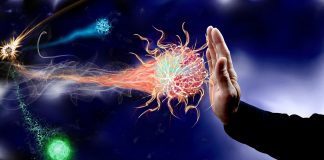 Sistemul imunitar – câteva metode naturale prin care putem ajuta organismul să se protejeze împotriva răcelii, gripei şi a infecţiilor de orice fel