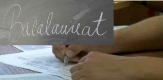 Bacalaureat 2020, Literatura română, Sursa Capital