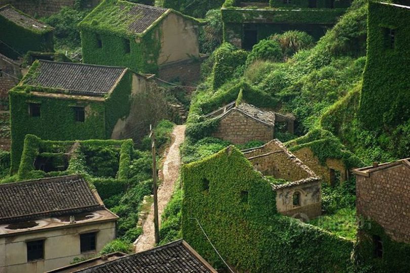 Un oraş fantoma înghiţit de natură, China, Sursa Tang Yuhong