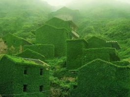 Un oras fantoma inghitit de natura, China