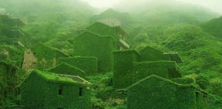 Un oras fantoma inghitit de natura, China