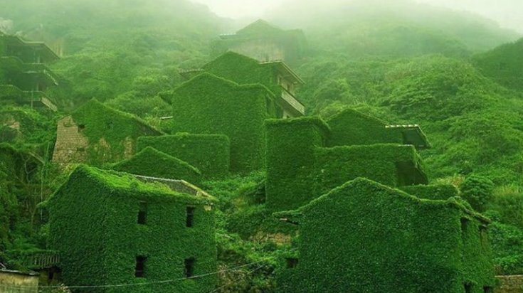 Un oras fantoma inghitit de natura, China