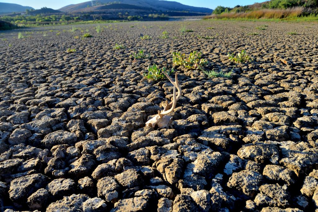 Desertificare, Sursa europa.eu