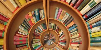 11 scriitori care au devenit celebri graţie unei singure cărţi