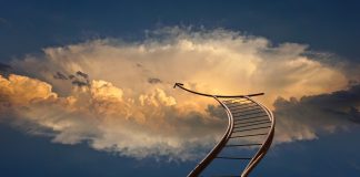 Succesul în carieră, dincolo de clişee şi prejudecăţi