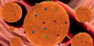 Nanobureţii sau nanospongii – o soluţie foarte promiţătoare în combaterea noului coronavirus (COVID-19), Sursa News Medical