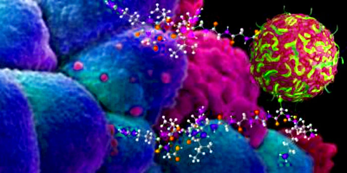 Nanospongii, Sursa Softpedia News