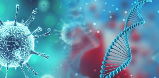 D614G – o mutaţie genetică a virusului SARS-CoV-2