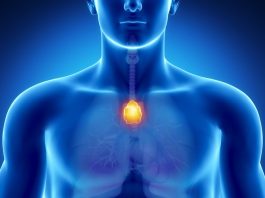 Timusul, Sursa Verywell Health