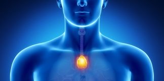 Timusul, Sursa Verywell Health