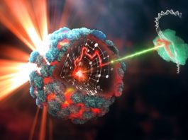 Cancerul – spre o nouă înţelegere a bolii