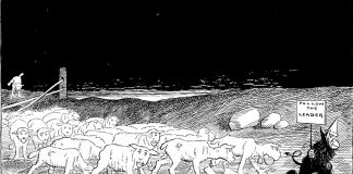 Argumentum ad populum – o eroare logică, excesiv utilizată în discursul public autohton