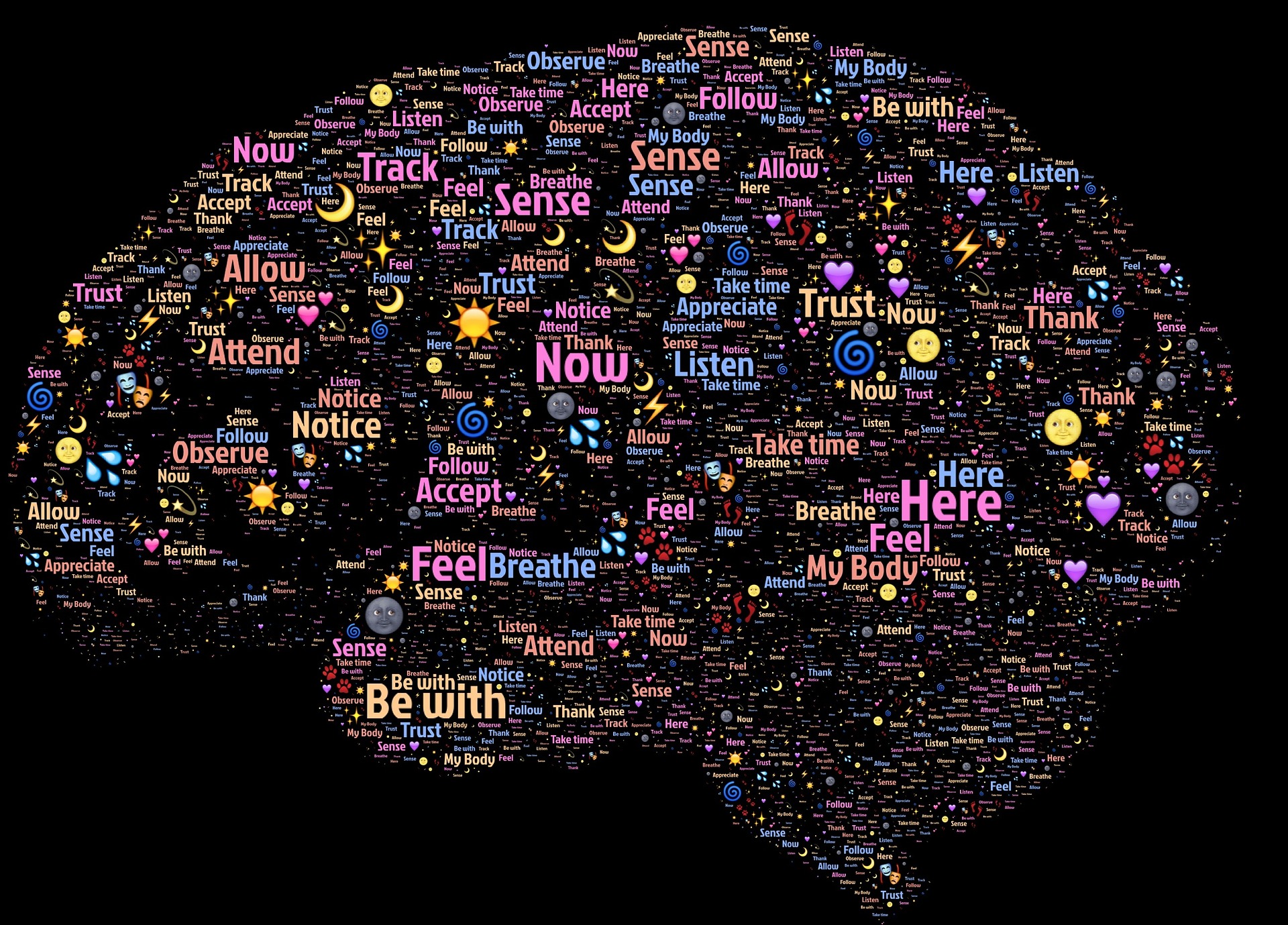 Complexitatea creierului uman