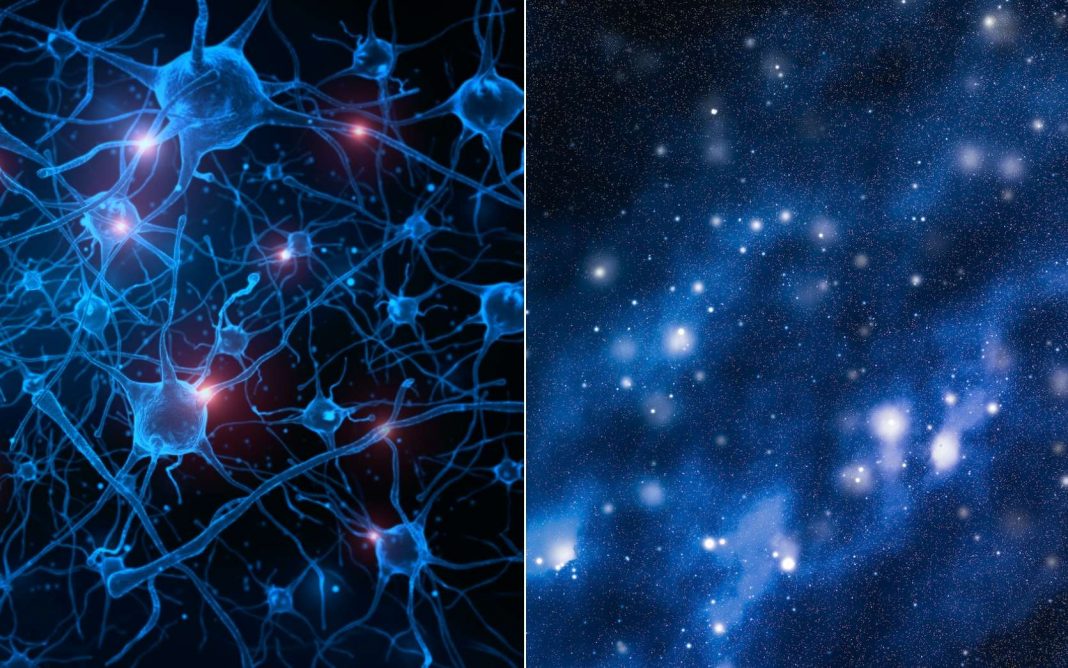 Universul si creierul uman, Sursa Futura-Science