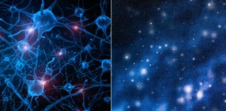 Universul si creierul uman, Sursa Futura-Science