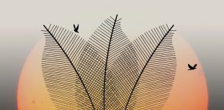 Nankurunasia – cuvântul magic, ancestral, considerat a fi “cheia Totului”. Cuvintele care zidesc peste timp Nankurunasia – cuvântul magic, ancestral