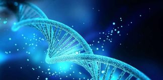 ADN, “dublu helix". Autovindecarea