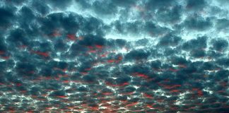 Previziunile despre anul 2021 ale unui călugăr budist, doctor în biologie moleculară, Matthieu Ricard, Peisaj