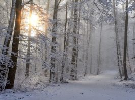 Gerul Bobotezei – sensul şi originea expresiei.