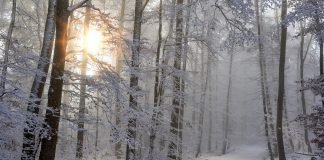 Gerul Bobotezei – sensul şi originea expresiei. Iernile de altădată au plecat, tradiţiile rămân Gerul Bobotezei – sensul şi originea expresiei.