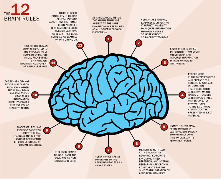 12 legi ale creierului