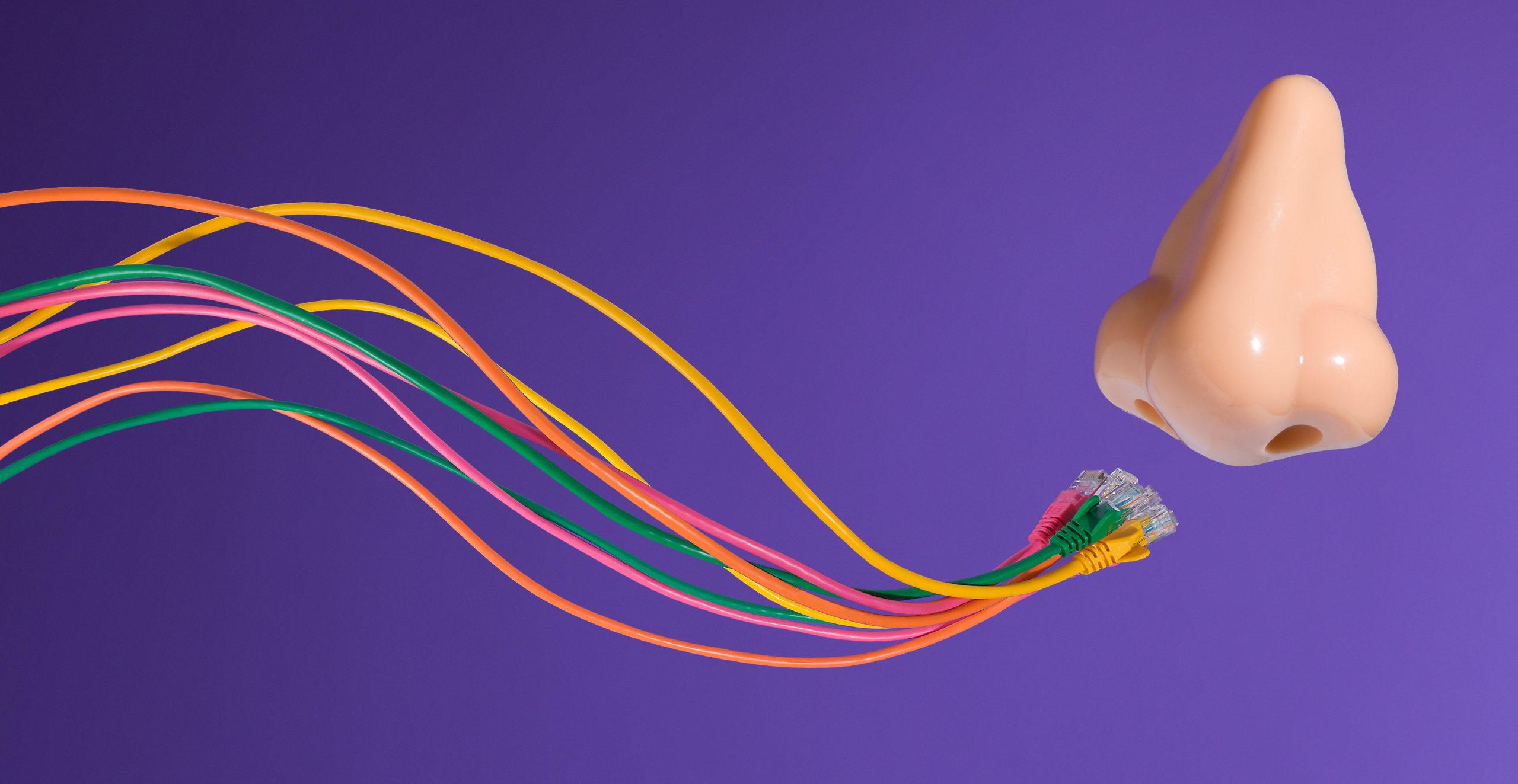 Halucinaţiile olfactive 