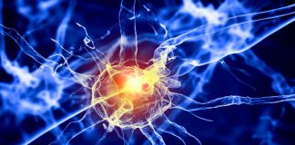 Halucinaţiile olfactive şi marile necunoscute care ne ghidează simţurile